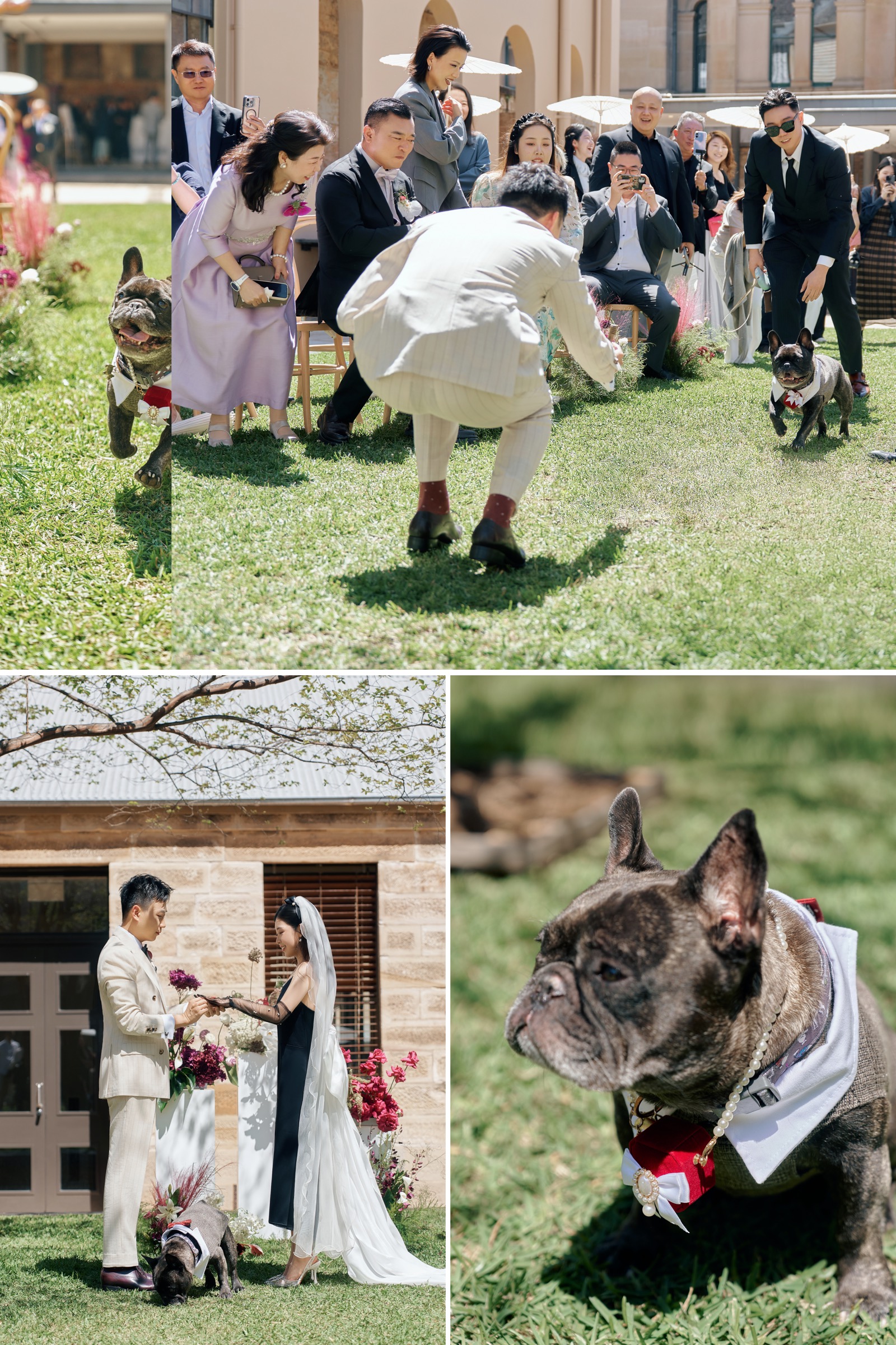 Angel and Henry wedding story mobile 7